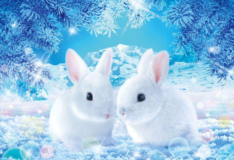 日本進口拼圖 Wilfar 冬天夜晚 雪地 等待春天的兔子 1000片拼圖，M81-538