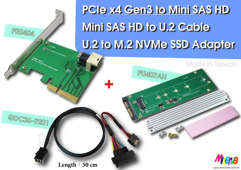 PCIex4 Gen3 to Mini SAS HD+Mini SAS HD to U.2+U.2 to M.2 SSD 露天市集 全