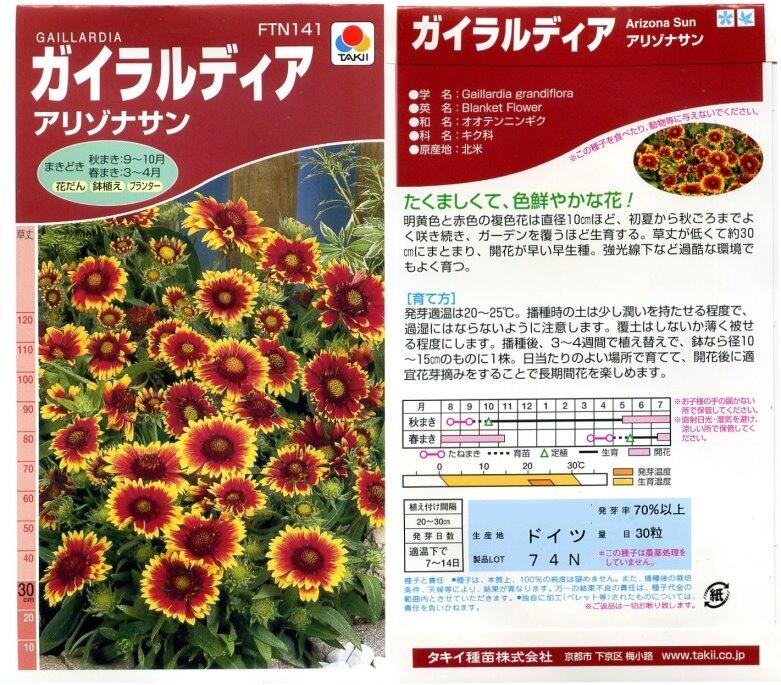 【花之鄉小舖】進口高級日本花卉種子--大花天人菊  亞利桑納太陽