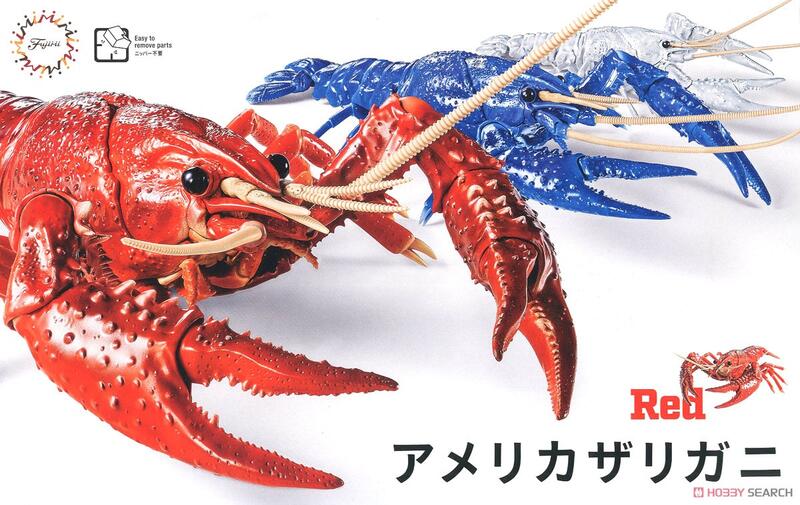 《密斯特喬》富士美 #170831 自由研究系列 24 生物篇 美國螯蝦 紅色  <組裝模型>
