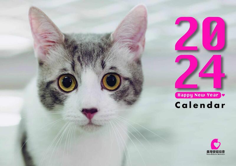 【愛貓協會】2024年貓咪桌曆/年曆/三角桌曆(5本9折，10本8折)