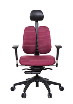 雙背椅世界第一品牌 DUOREST ALPHA DT-Α30H (坐背環保天然乳膠DUOTEX泡棉)