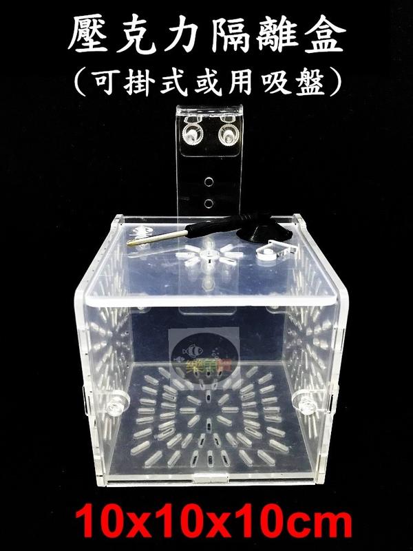 【樂魚寶】壓克力 隔離箱 隔離盒 繁殖盒 飼育盒 (掛式、吸盤) 10x10x10cm 開放缸/邊條缸皆適用