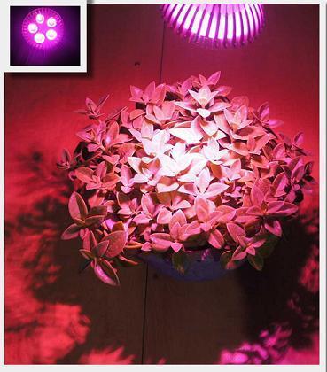 【光力能LED植物燈坊】PAR燈E27螺口聚光型射燈 13W全光譜全波長400nm~840nm大功率LED 莖葉 花卉