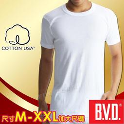 BVD 美國棉100%純棉圓領短袖(尺寸M~XXL加大尺碼)