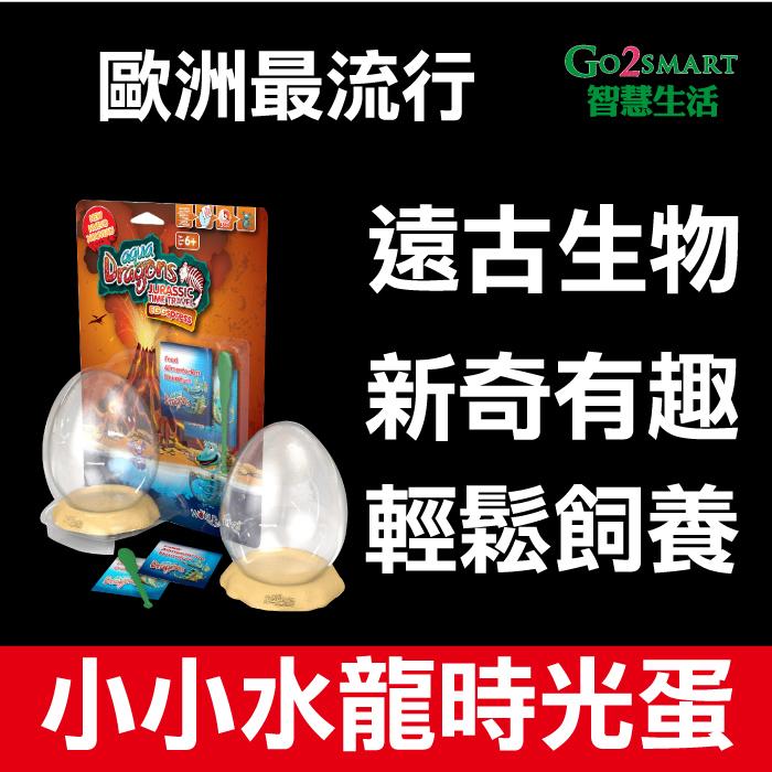 【Go2Smart智慧生活】小小水龍時光蛋(小) 歐洲最流行 新奇有趣 禮物 夜燈 裝飾 魚缸 蝦