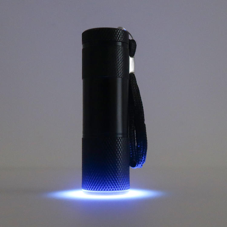【帝一化工】紫外線 LED 手電筒 螢光反應 實驗 檢查 UV 第一化工