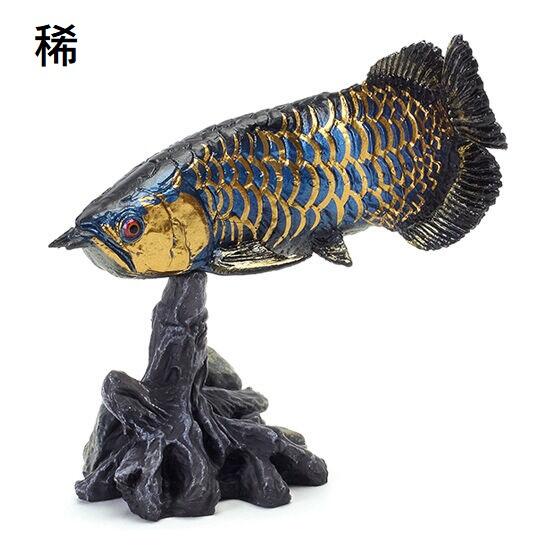 𓅓MOCHO𓅓 BANDAI 扭蛋生物大圖鑑-古代魚篇全4種稀有款一種 
