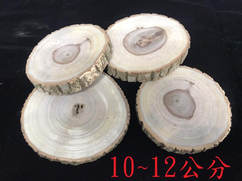 L-131 樟樹(樟木、香樟)切片，直徑2〜12公分。(厚度約1.5公分)