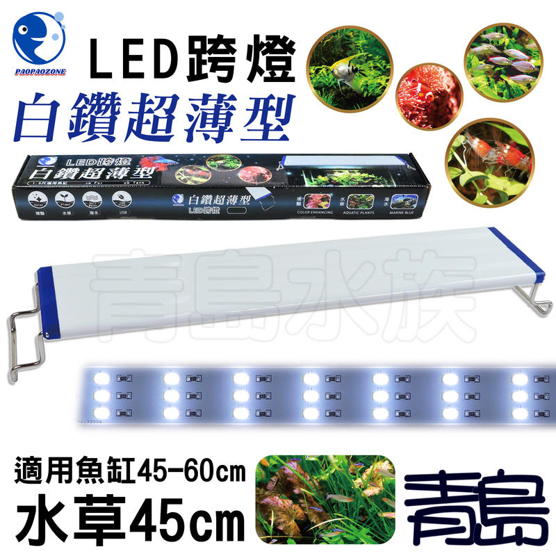 Y。。。青島水族。。。YX-45台灣paopaozone泡泡龍-白鑽超薄型LED跨燈 白光 全白燈==水草45cm