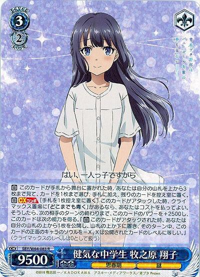 謎多き少女牧之原翔子SSP 美品】PSA9 謎多き少女 牧之原翔子 SECサイン - メルカリ