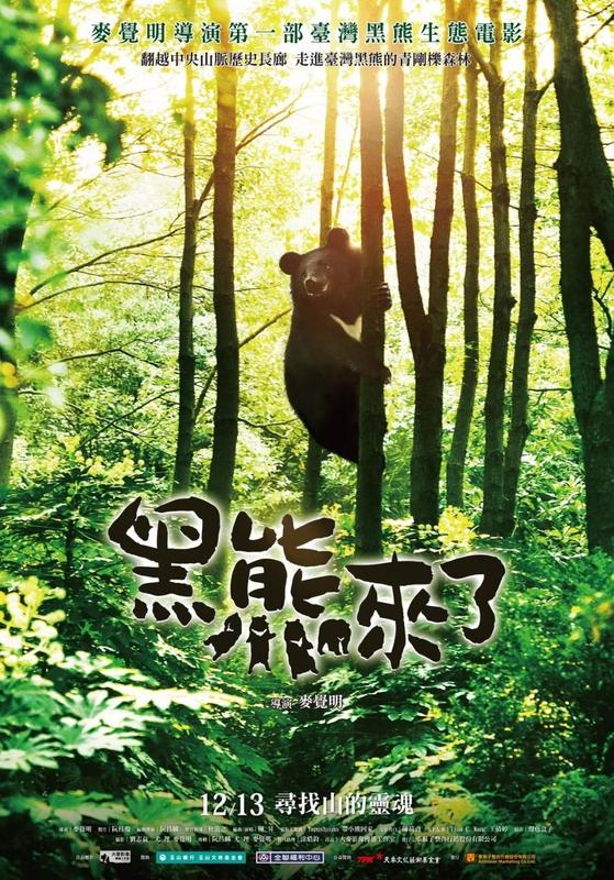 現貨 電影DM 宣傳小海報-《黑熊來了》 麥覺明 台灣黑熊 紀錄片