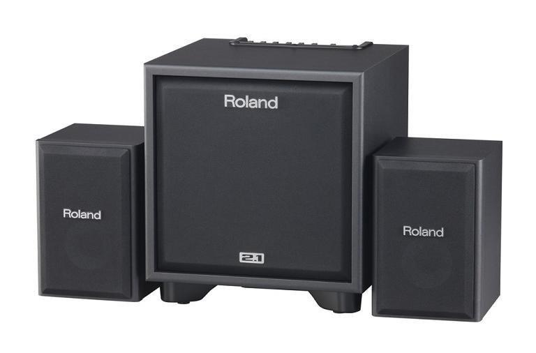 【全方位樂器】ROLAND 2.1聲道樂器監聽音箱 100瓦 CM-110 CM110 原廠公司貨