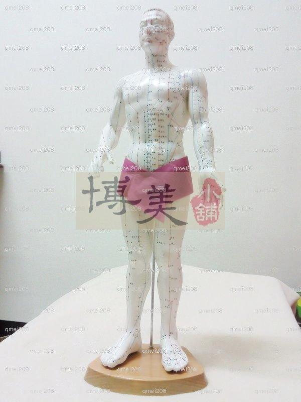 缺貨<博美小舖>(特價+贈人體穴位圖)上海經絡通女模(正品) 人體針灸模型 人體穴位模型 人體經絡模型 針灸銅人
