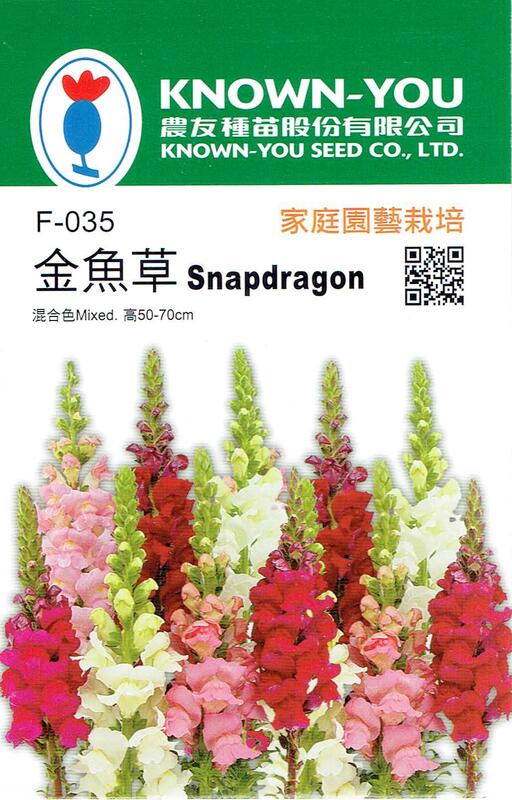【尋花趣】金魚草Snapdragon(F-035) 混合色 高50-70cm 農友種苗花卉種子 每包約200粒