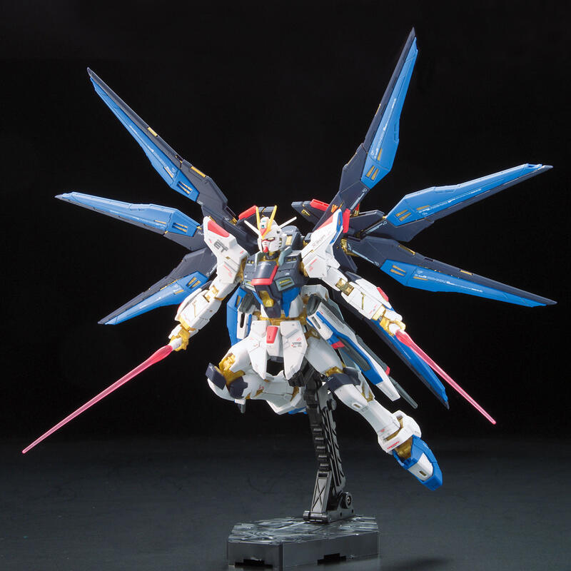 【鋼普拉】BANDAI 鋼彈SEED RG 1/144 #14 STRIKE FREEDOM GUNDAM 攻擊自由鋼彈