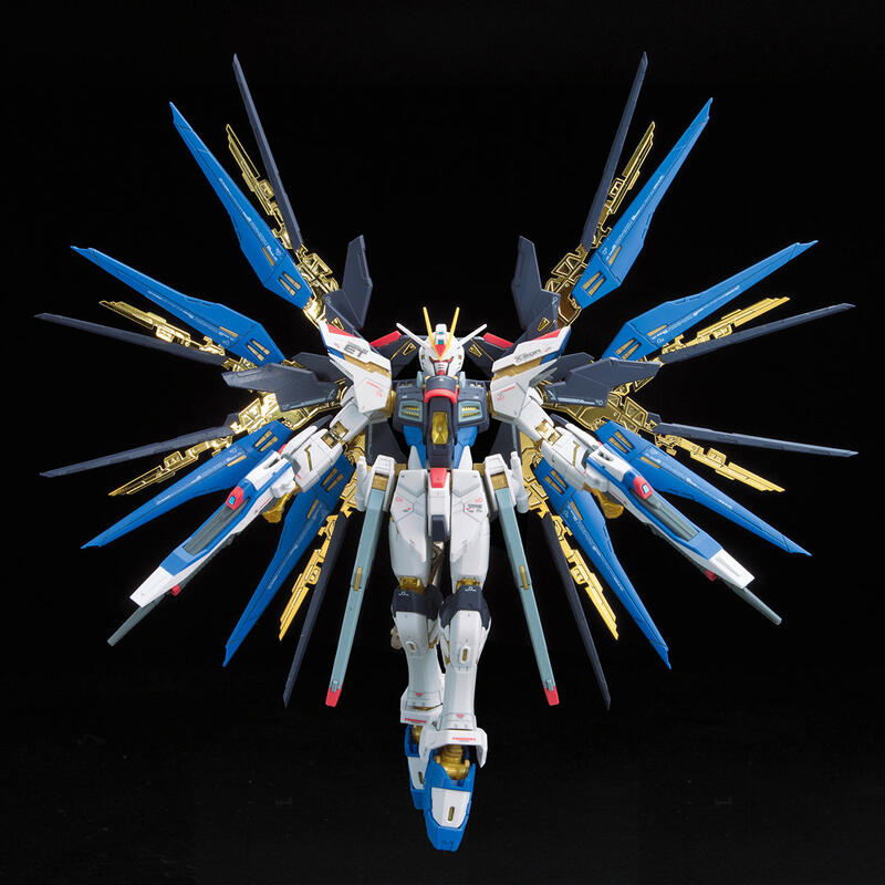 【鋼普拉】BANDAI 鋼彈SEED RG 1/144 #14 STRIKE FREEDOM GUNDAM 攻擊自由鋼彈