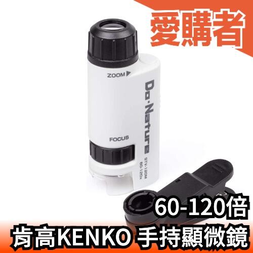 日本 Kenko 肯高 LED手持式顯微鏡 STV-120M 附夾持器 60-120倍 微觀 微距 生物