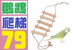 竹鳥籠- 生活居家- 人氣推薦- 2024年3月| 露天市集