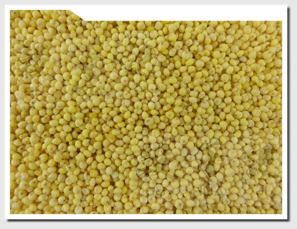 小米 MILLET - 300g / 600g / 3kg 穀華記食品原料 | 露天市集 | 全台最大的網路購物市集