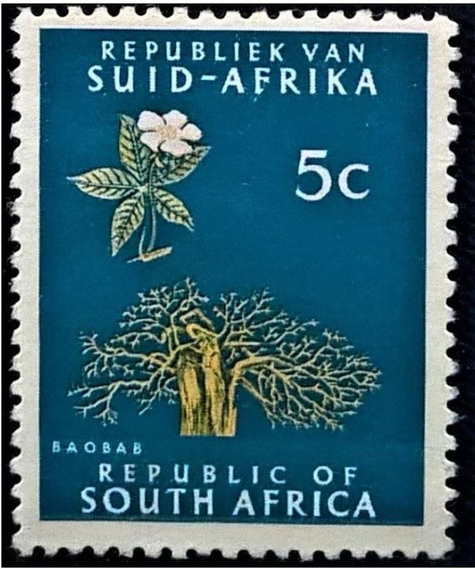 【AntStamp螞蟻郵票站】南非 1961 錦葵科植物 1枚 #10108