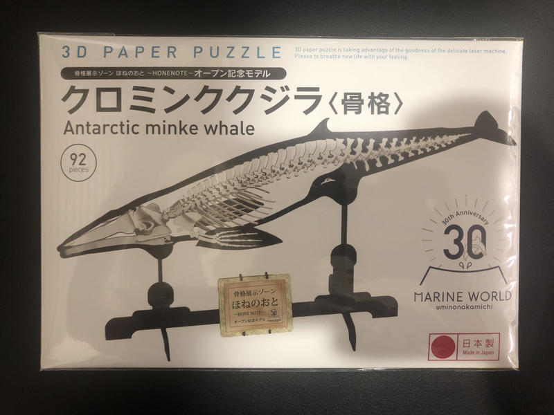 3D紙模型 紙GK 鬚鯨骨架（日本九州海之中道水族館30週年限定商品）