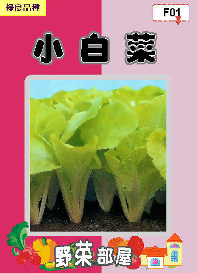 【野菜部屋~】F01小白菜種子23公克 , 又名"土白菜" ,容易栽培 ,每包15元~