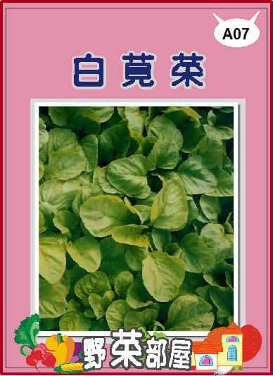 【野菜部屋~】A07白莧菜種子13.5公克 ,葉多質嫩 ,每包15元 ~~