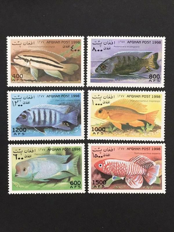 #阿富汗 1998.08.05 #阿富汗魚類 套票6全 130元