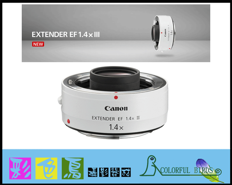 彩色鳥 (鏡頭出租 相機出租) Canon Extender EF 1.4X III (第三代 1.4倍增距鏡) EF1.4X 加倍鏡 1.4倍鏡
