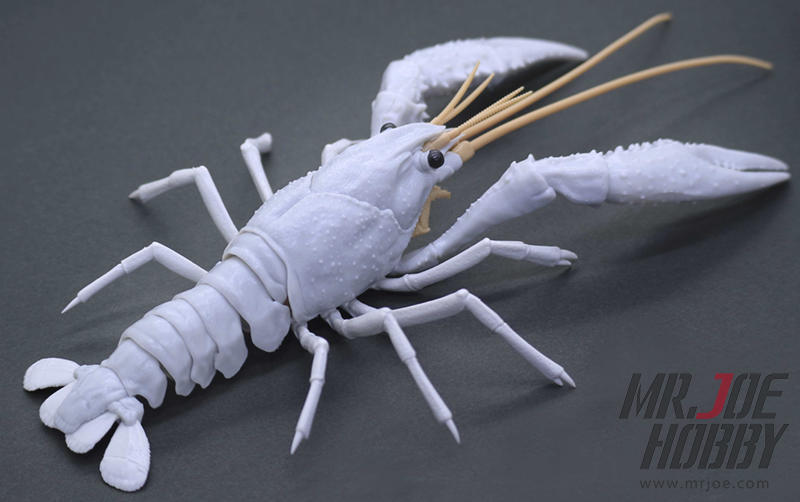 《密斯特喬》富士美 #170886 自由研究系列 24EX1 生物篇 美國螯蝦 白色<組裝模型>