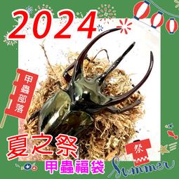 [甲蟲部落]2024 夏之祭甲蟲福袋