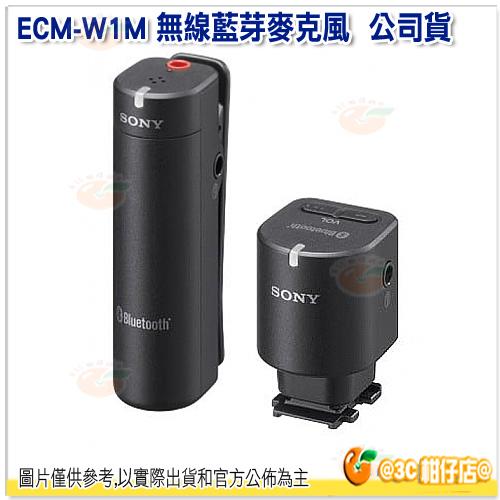 SONY ECM-W1M 台灣索尼公司貨 藍芽麥克風 A6400 A7R4 RX10M4 AX40 AXP55 適用