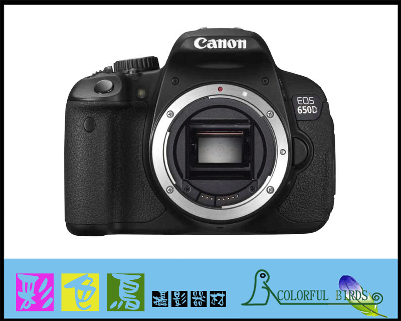 彩色鳥 (相機出租,鏡頭出租) Canon EOS 650D + Canon EF 24-70mm f2.8L USM II Canon 24-70mm F2.8 ll