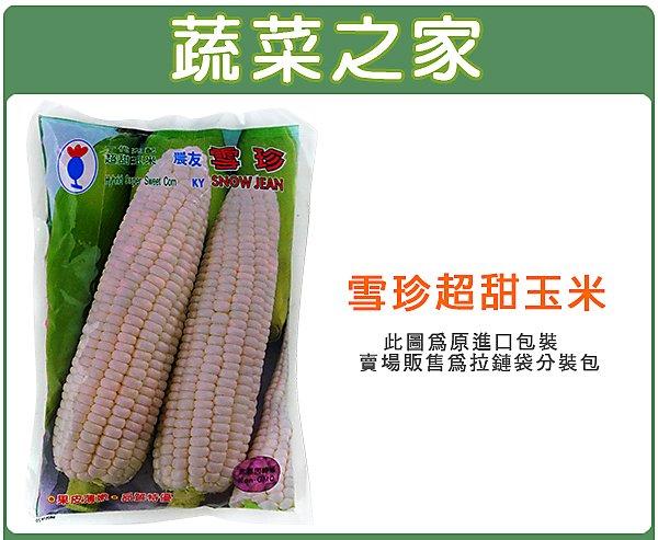 【蔬菜之家滿額免運00G85】大包裝.雪珍超甜玉米(純白色牛奶玉米)種子70克(約330顆)