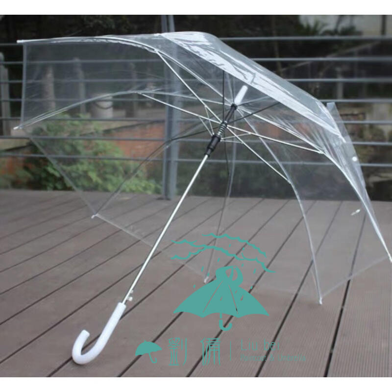 透明傘 自動直立透明傘60cm 抗風 組合優惠【現貨馬上出】【直傘】【雨傘雨具】大傘面 抗風 雨傘 雨具