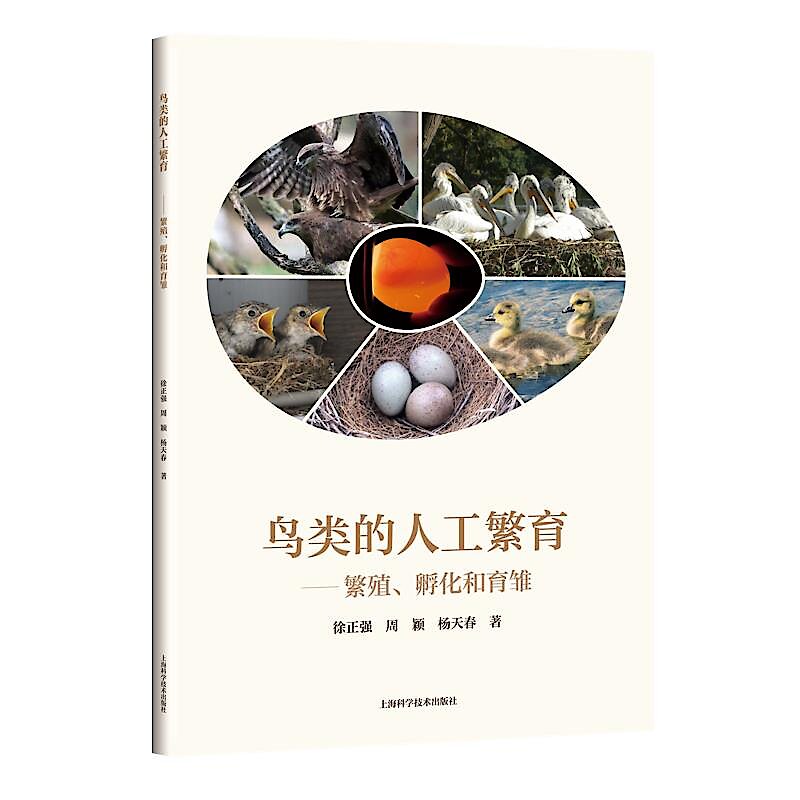 鳥類的人工繁育-繁殖、孵化和育雛徐正強周穎楊天春9787547852286 【台灣高教簡體書】 | 露天市集| 全台最大的網路購物市集