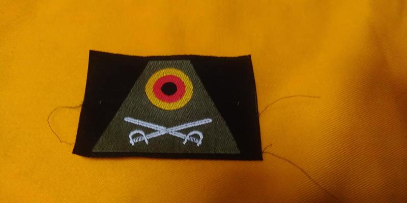 德國邊防軍(BGS)帽徽(公發品)
