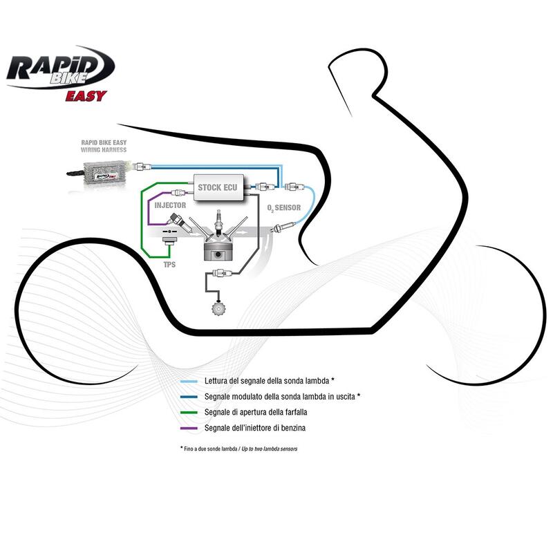 RapidBike EASY Harness 配線 供油電腦線路 (不含電腦)
