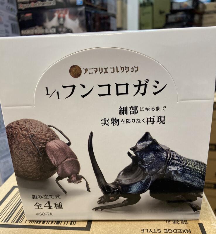 全新現貨食玩盒玩SO-TA　日本1/1　全台最大的網路購物市集　蜣螂糞金龜甲蟲中盒4入|　露天市集|