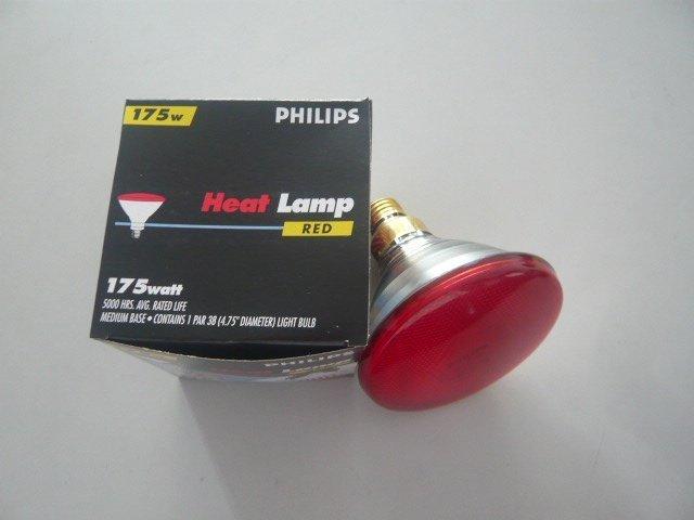 寶新照明 含稅價 PHILIPS PAR38 120V 175W IR 175 R 保溫燈泡 紅色玻璃面 E27 燈頭