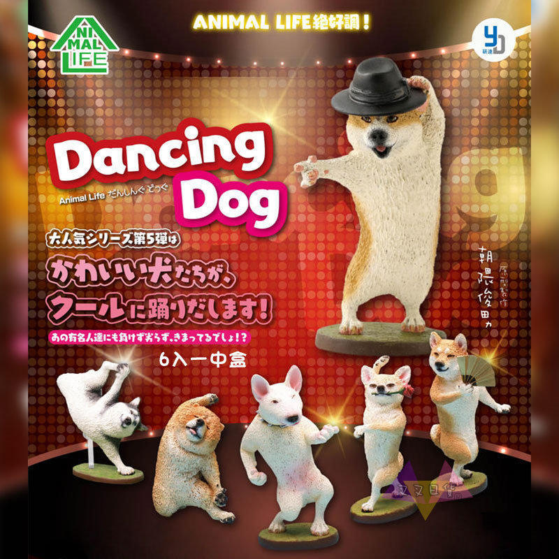 《樂達》特價 現貨 代理版 研達 盒玩 Animal Life 狗舞蹈大師 全6種 中盒8入 707578
