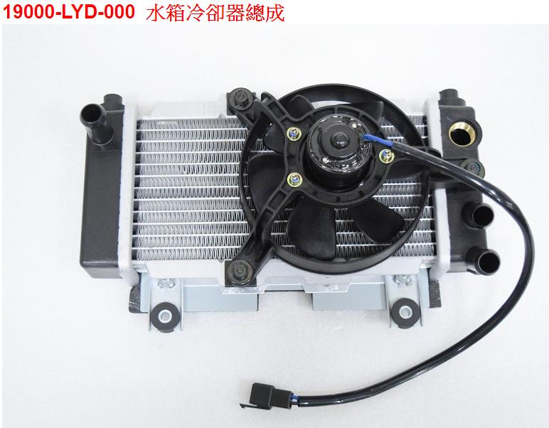 【THE ONE MOTOR】RV180 Euro ABS	LF18W2	19000-LYD-000	水箱冷卻器總成