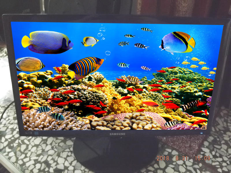 Samsung S22A300B 22吋 DVI/D-SUB 1920x1080 Full HD LED 液晶螢幕