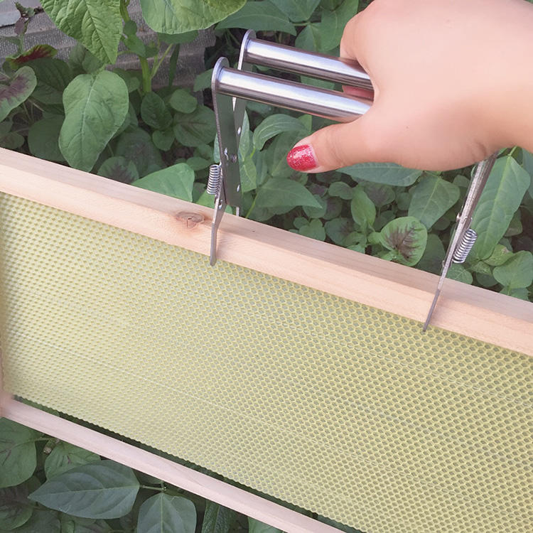 養蜂工具 不鏽鋼巢框夾子