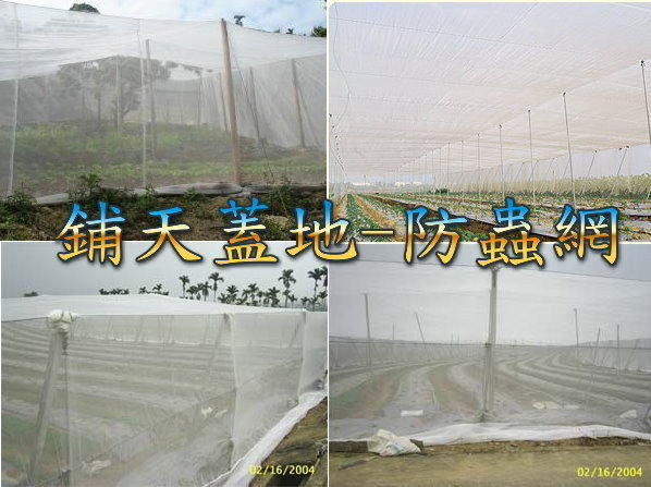 &~鋪天蓋地~& 白色 白網 32目12尺X30尺 防蟲網 木瓜網 溫室用網 紗網 農業用塑膠網