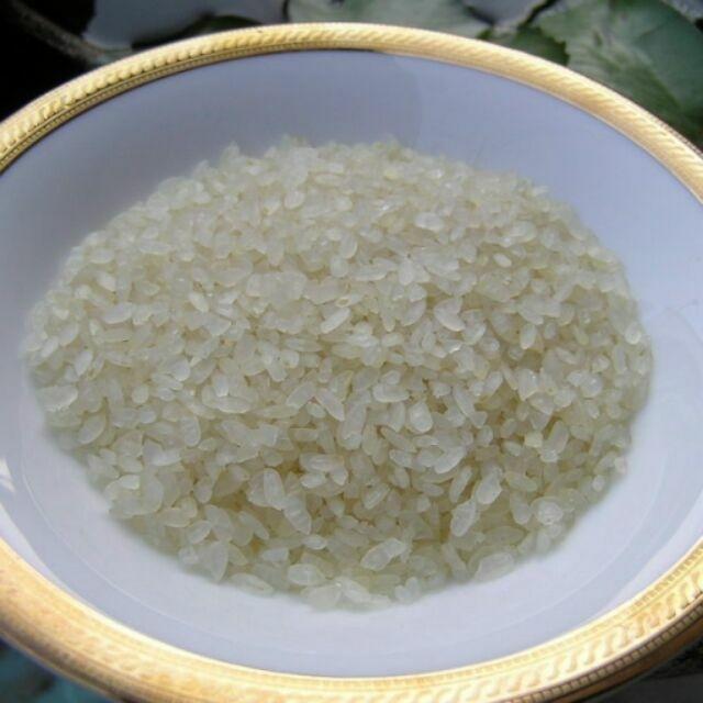中式米食加工丙級技術士（米花糖）材料/米乾