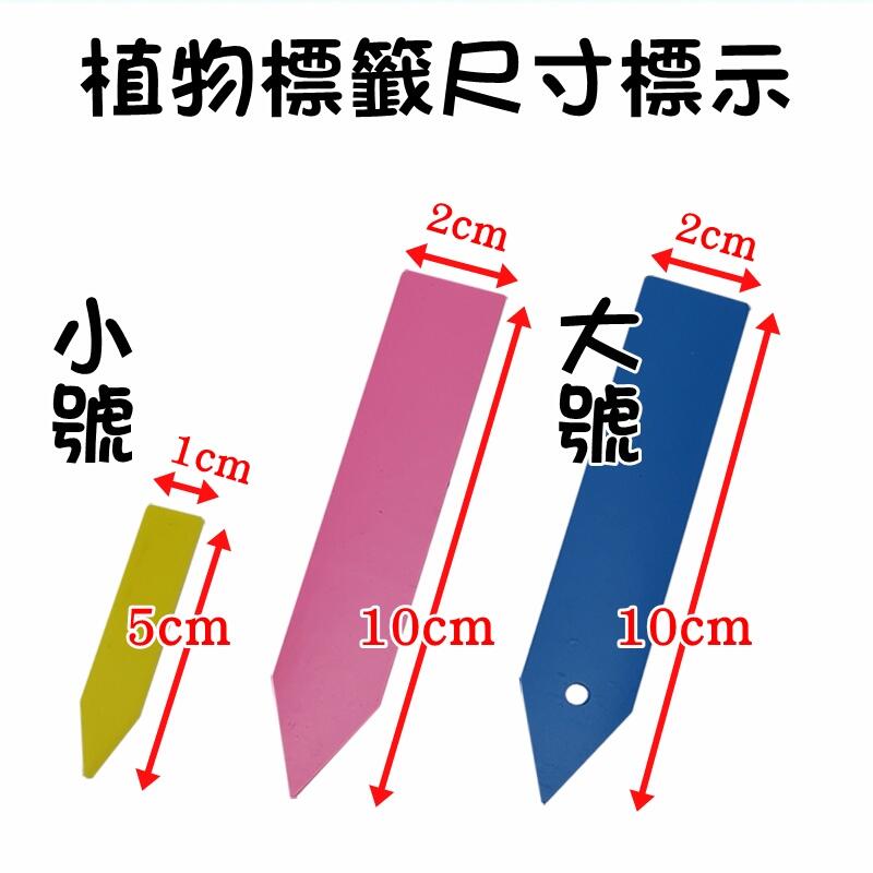 【珍愛頌】N075 一字標籤(100片) 植物標籤 園藝標籤 花卉標籤 多肉標籤 植物名牌 盆栽標籤 多肉植物標籤 花牌