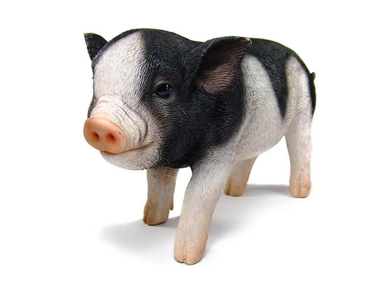 迷你豬存錢筒，精細擬真的迷你豬造型設計，迷你豬的底部為投幣功能可當擺飾用存錢筒