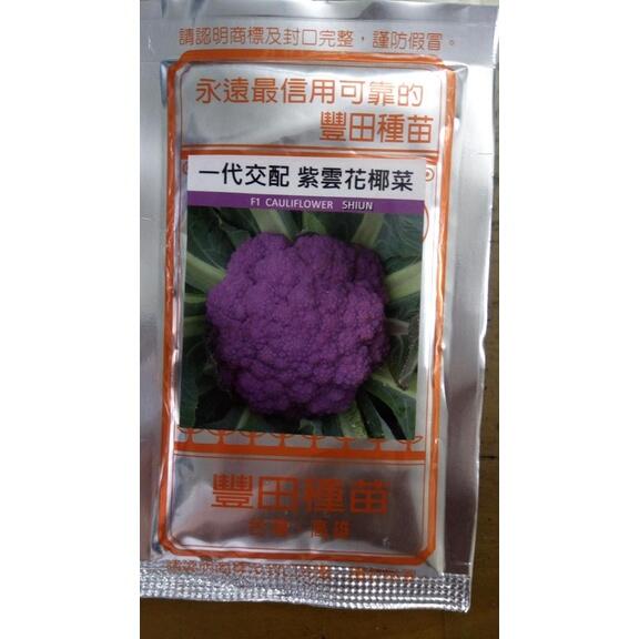 新進紫雲花椰菜_農友牌青花椰菜芽種子_天星牌_豐田牌喜悅青花椰菜芽